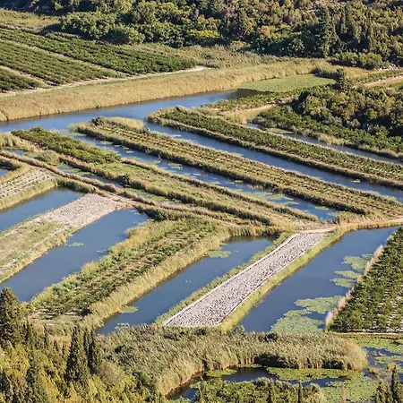 شقة Awesome In With Wifi Duba