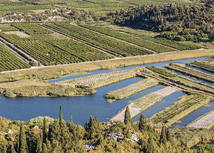 Awesome In With Wifi Appartement Duba